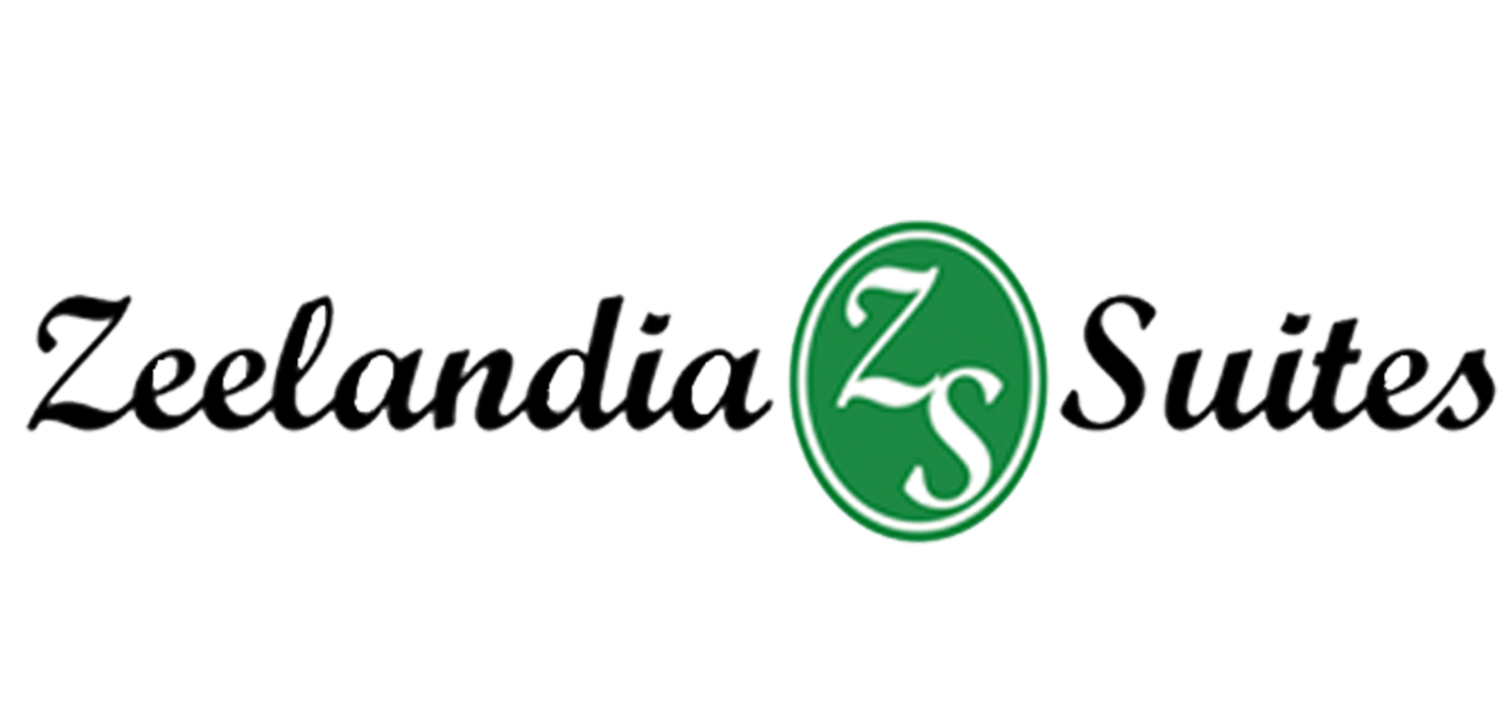 LOGO-ZS